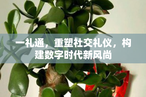 一礼通，重塑社交礼仪，构建数字时代新风尚