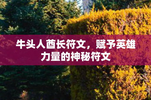 牛头人酋长符文，赋予英雄力量的神秘符文