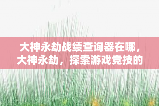 大神永劫战绩查询器在哪，大神永劫，探索游戏竞技的无限可能