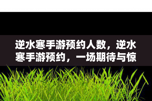 逆水寒手游预约人数，逆水寒手游预约，一场期待与惊喜的邂逅