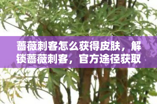 蔷薇刺客怎么获得皮肤，解锁蔷薇刺客，官方途径获取攻略
