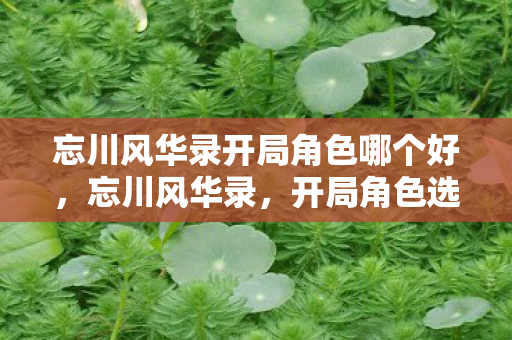 忘川风华录开局角色哪个好，忘川风华录，开局角色选择的艺术