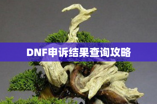DNF申诉结果查询攻略