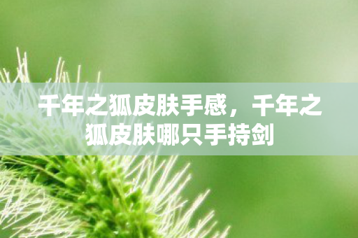 千年之狐皮肤手感，千年之狐皮肤哪只手持剑