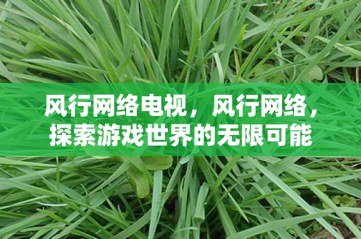 风行网络电视，风行网络，探索游戏世界的无限可能