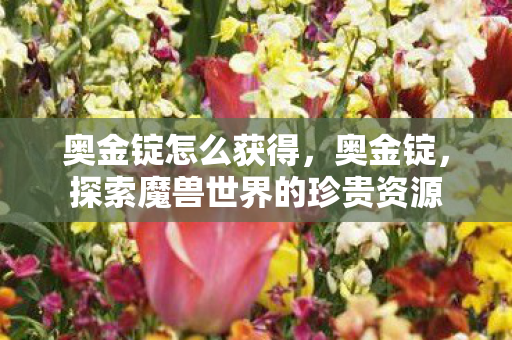 奥金锭怎么获得，奥金锭，探索魔兽世界的珍贵资源