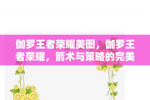 伽罗王者荣耀美图，伽罗王者荣耀，箭术与策略的完美结合