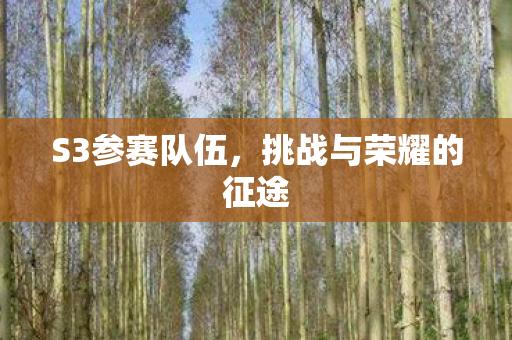S3参赛队伍，挑战与荣耀的征途