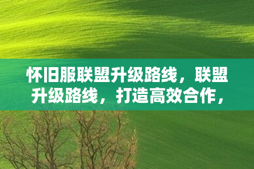 怀旧服联盟升级路线，联盟升级路线，打造高效合作，共创辉煌未来