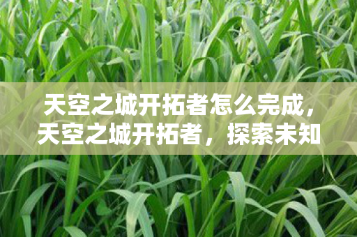 天空之城开拓者怎么完成，天空之城开拓者，探索未知世界的先驱者