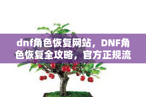 dnf角色恢复网站，DNF角色恢复全攻略，官方正规流程解析