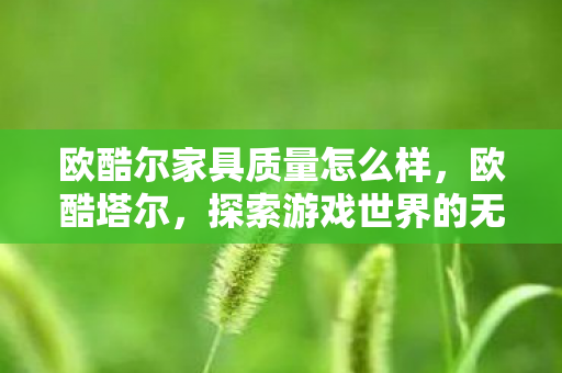 欧酷尔家具质量怎么样，欧酷塔尔，探索游戏世界的无限可能