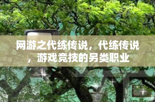 网游之代练传说，代练传说，游戏竞技的另类职业