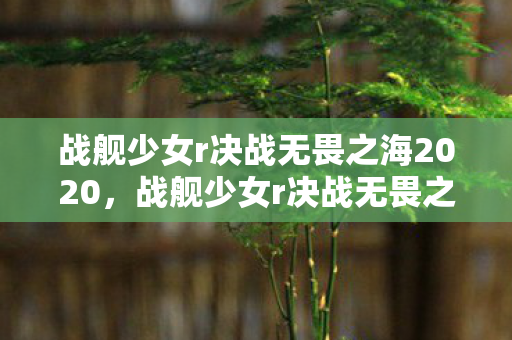 战舰少女r决战无畏之海2020，战舰少女r决战无畏之海，一场策略与勇气的较量