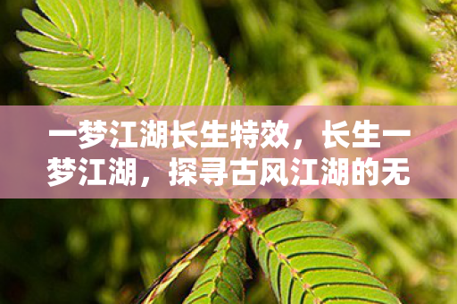 一梦江湖长生特效，长生一梦江湖，探寻古风江湖的无限可能