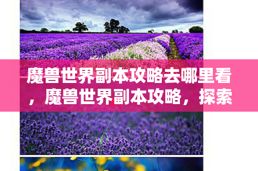 魔兽世界副本攻略去哪里看，魔兽世界副本攻略，探索艾泽拉斯的深层挑战