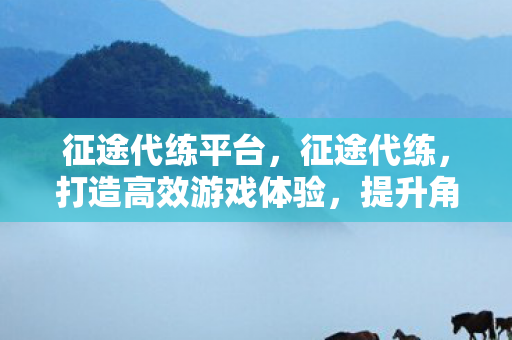 征途代练平台，征途代练，打造高效游戏体验，提升角色实力