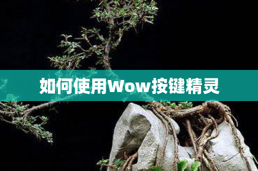 如何使用Wow按键精灵