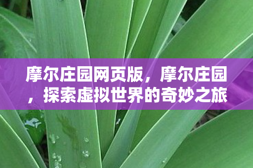 摩尔庄园网页版，摩尔庄园，探索虚拟世界的奇妙之旅