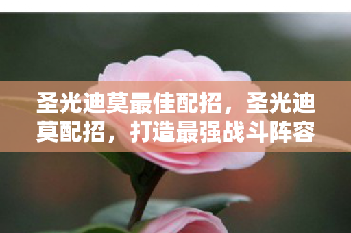 圣光迪莫最佳配招，圣光迪莫配招，打造最强战斗阵容