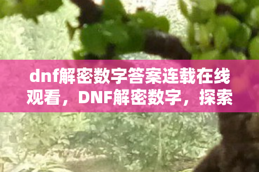 dnf解密数字答案连载在线观看，DNF解密数字，探索游戏世界的神秘编码