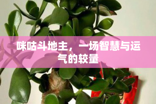 咪咕斗地主，一场智慧与运气的较量