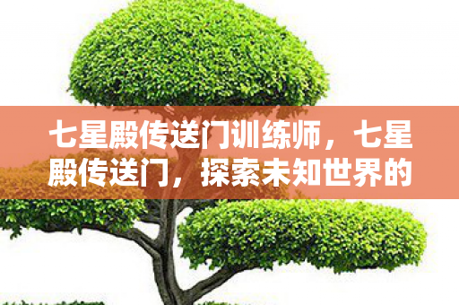 七星殿传送门训练师，七星殿传送门，探索未知世界的神秘门户