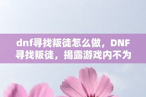 dnf寻找叛徒怎么做，DNF寻找叛徒，揭露游戏内不为人知的秘密