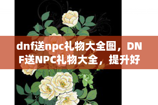 dnf送npc礼物大全图，DNF送NPC礼物大全，提升好感度，解锁隐藏福利