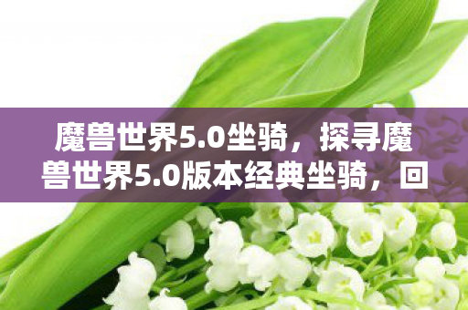 魔兽世界5.0坐骑，探寻魔兽世界5.0版本经典坐骑，回忆与荣耀的交织