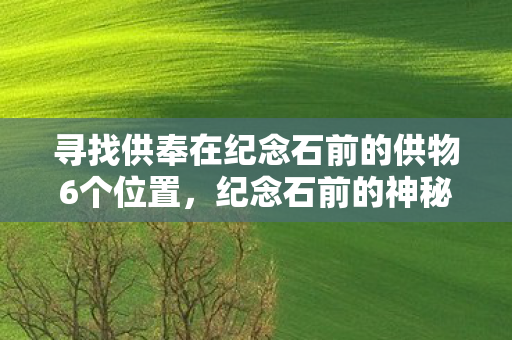 寻找供奉在纪念石前的供物6个位置，纪念石前的神秘供物，探寻古老信仰的遗迹