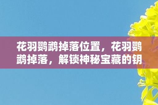 花羽鹦鹉掉落位置，花羽鹦鹉掉落，解锁神秘宝藏的钥匙