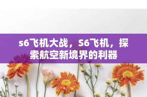 s6飞机大战，S6飞机，探索航空新境界的利器