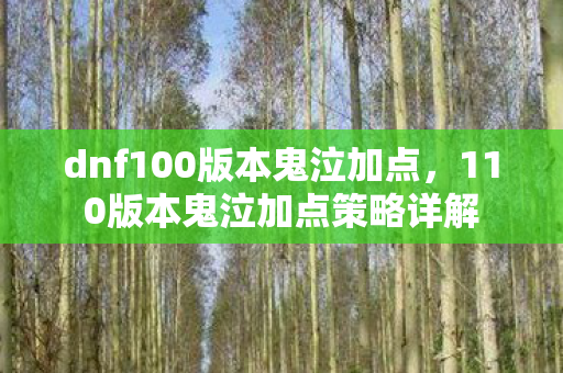 dnf100版本鬼泣加点，110版本鬼泣加点策略详解