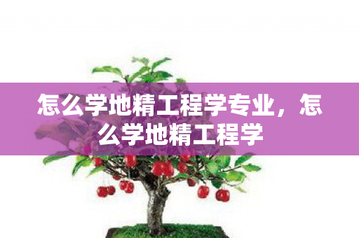怎么学地精工程学专业，怎么学地精工程学