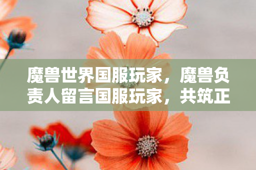 魔兽世界国服玩家，魔兽负责人留言国服玩家，共筑正版游戏环境，携手前行