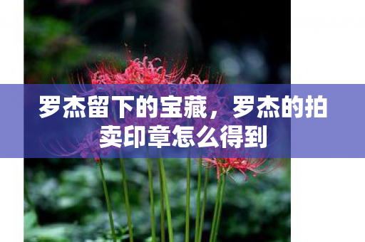 罗杰留下的宝藏，罗杰的拍卖印章怎么得到