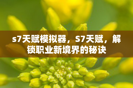 s7天赋模拟器，S7天赋，解锁职业新境界的秘诀