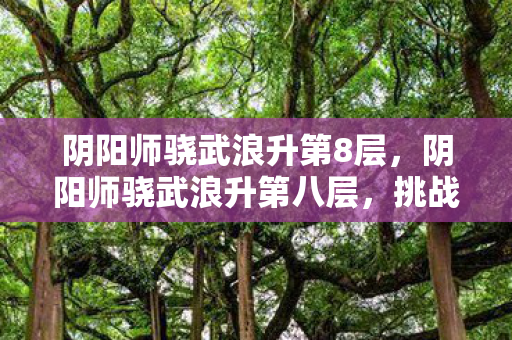 阴阳师骁武浪升第8层，阴阳师骁武浪升第八层，挑战与策略的深度解析