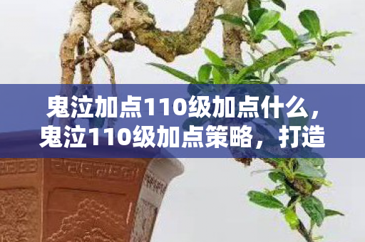 鬼泣加点110级加点什么，鬼泣110级加点策略，打造最强暗系战士