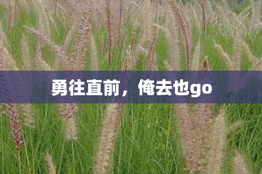 勇往直前，俺去也go