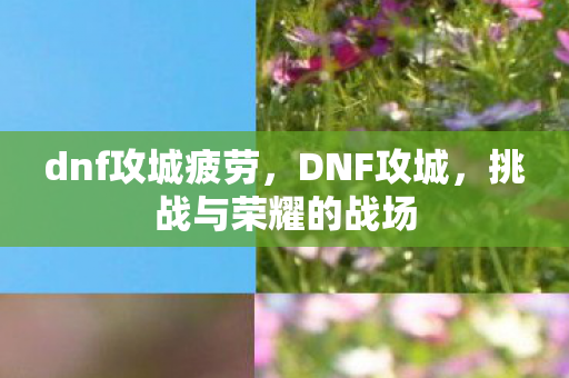 dnf攻城疲劳，DNF攻城，挑战与荣耀的战场
