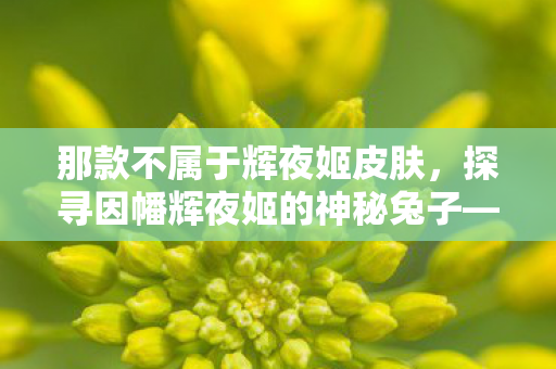 那款不属于辉夜姬皮肤，探寻因幡辉夜姬的神秘兔子—非官方角色揭秘