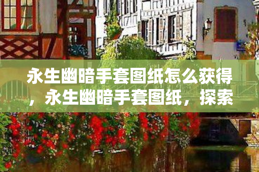 永生幽暗手套图纸怎么获得，永生幽暗手套图纸，探索未知领域的神秘之旅