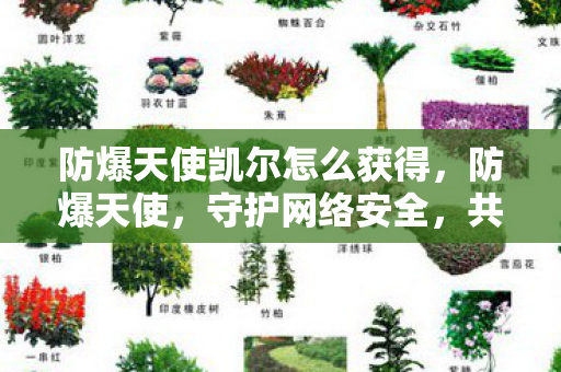 防爆天使凯尔怎么获得，防爆天使，守护网络安全，共建和谐网络空间