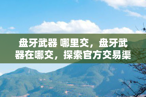 盘牙武器 哪里交，盘牙武器在哪交，探索官方交易渠道与策略