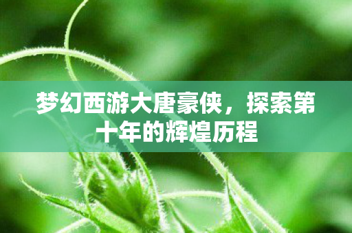 梦幻西游大唐豪侠，探索第十年的辉煌历程