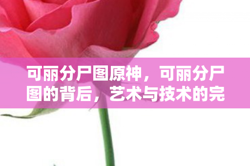 可丽分尸图原神，可丽分尸图的背后，艺术与技术的完美融合