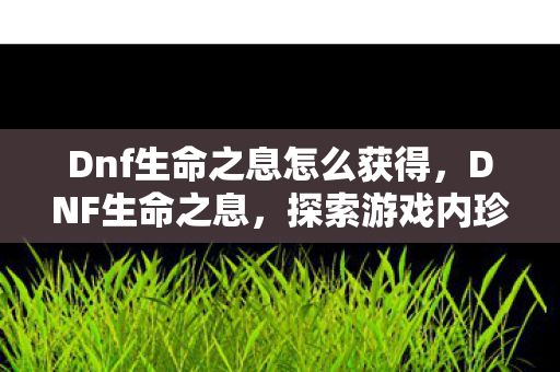 Dnf生命之息怎么获得，DNF生命之息，探索游戏内珍贵资源的奥秘