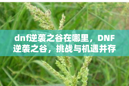 dnf逆袭之谷在哪里，DNF逆袭之谷，挑战与机遇并存的时间